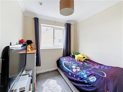Picture 11